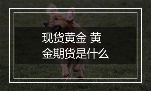 现货黄金 黄金期货是什么