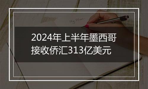 2024年上半年墨西哥接收侨汇313亿美元