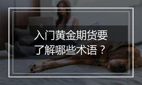 入门黄金期货要了解哪些术语？