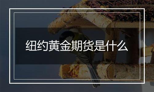 纽约黄金期货是什么