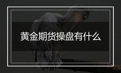 黄金期货操盘有什么