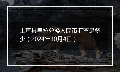 土耳其里拉兑换人民币汇率是多少（2024年10月4日）