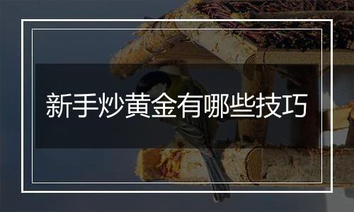 新手炒黄金有哪些技巧