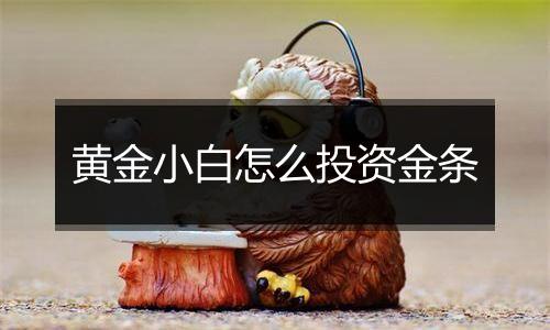 黄金小白怎么投资金条