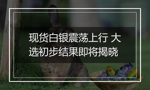 现货白银震荡上行 大选初步结果即将揭晓