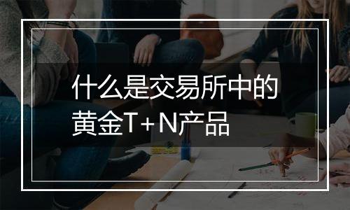 什么是交易所中的黄金T+N产品