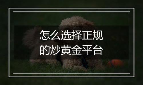 怎么选择正规的炒黄金平台