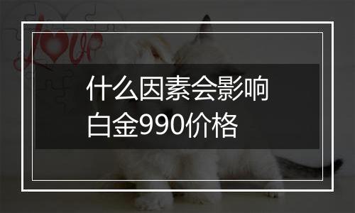 什么因素会影响白金990价格