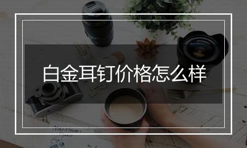 白金耳钉价格怎么样