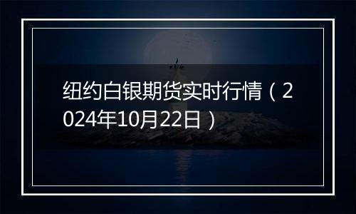 纽约白银期货实时行情（2024年10月22日）