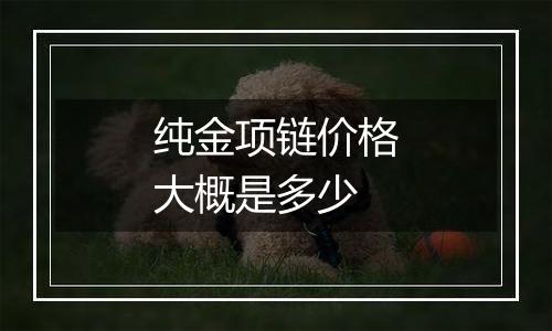 纯金项链价格大概是多少