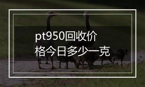 pt950回收价格今日多少一克