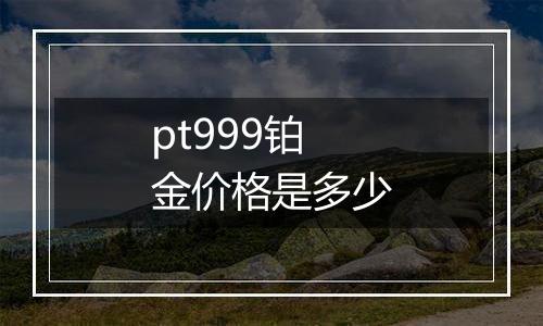 pt999铂金价格是多少