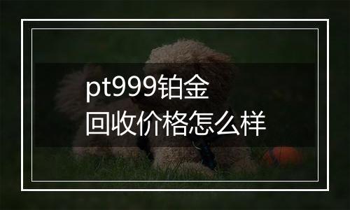 pt999铂金回收价格怎么样