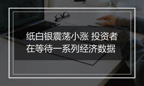 纸白银震荡小涨 投资者在等待一系列经济数据