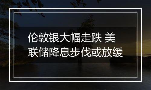 伦敦银大幅走跌 美联储降息步伐或放缓