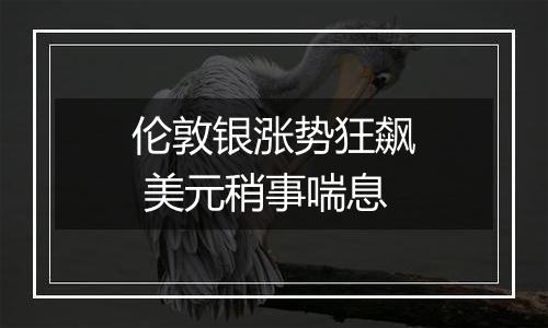 伦敦银涨势狂飙 美元稍事喘息