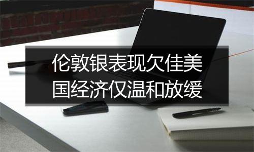 伦敦银表现欠佳美国经济仅温和放缓