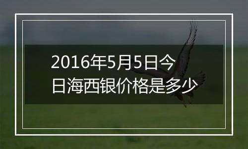 2016年5月5日今日海西银价格是多少