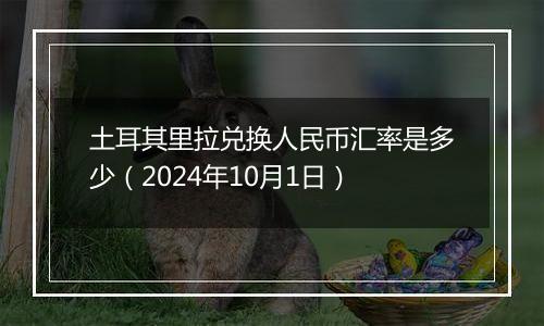 土耳其里拉兑换人民币汇率是多少（2024年10月1日）