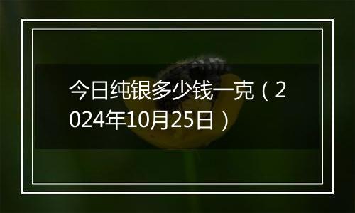 今日纯银多少钱一克（2024年10月25日）