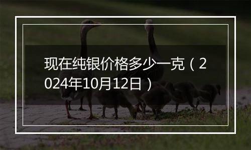 现在纯银价格多少一克（2024年10月12日）