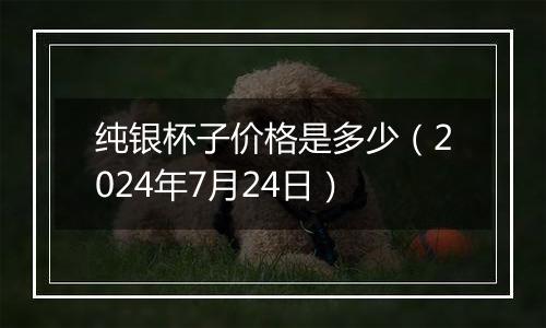 纯银杯子价格是多少（2024年7月24日）