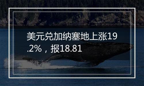 美元兑加纳塞地上涨19.2%，报18.81