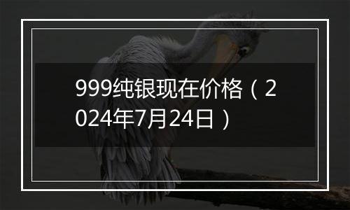 999纯银现在价格（2024年7月24日）