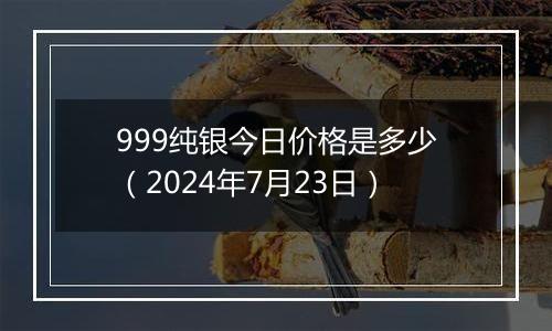 999纯银今日价格是多少（2024年7月23日）