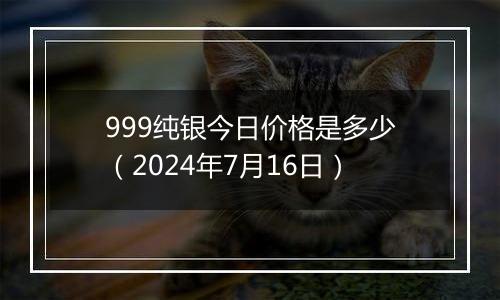 999纯银今日价格是多少（2024年7月16日）