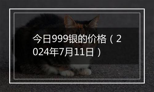 今日999银的价格（2024年7月11日）