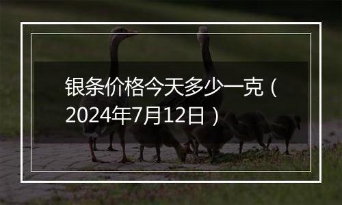 银条价格今天多少一克（2024年7月12日）