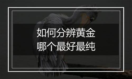 如何分辨黄金哪个最好最纯