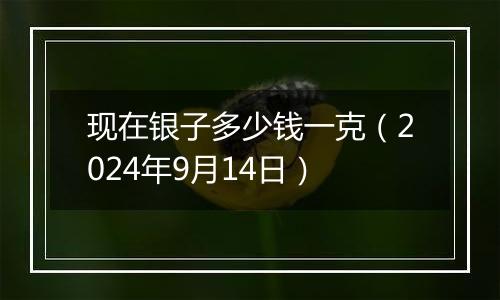 现在银子多少钱一克（2024年9月14日）