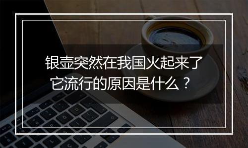 银壶突然在我国火起来了 它流行的原因是什么？