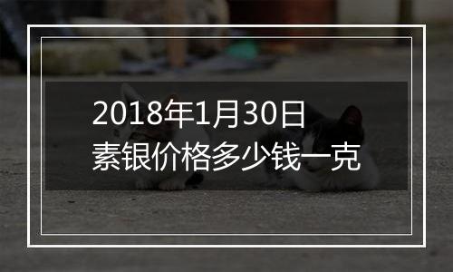 2018年1月30日素银价格多少钱一克