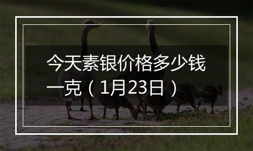 今天素银价格多少钱一克（1月23日）