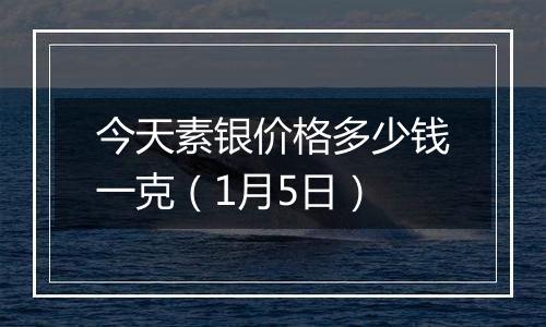 今天素银价格多少钱一克（1月5日）