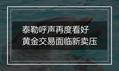 泰勒呼声再度看好 黄金交易面临新卖压