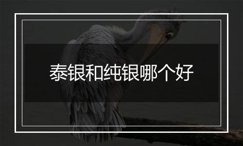 泰银和纯银哪个好