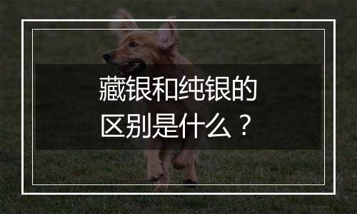 藏银和纯银的区别是什么？