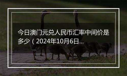 今日澳门元兑人民币汇率中间价是多少（2024年10月6日）