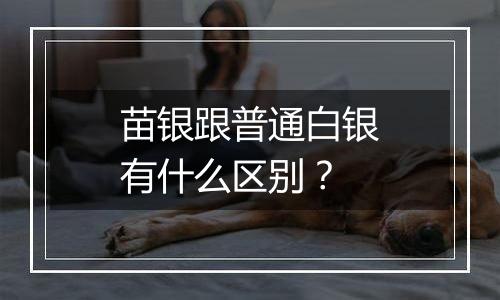 苗银跟普通白银有什么区别？