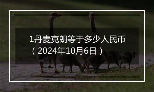 1丹麦克朗等于多少人民币（2024年10月6日）