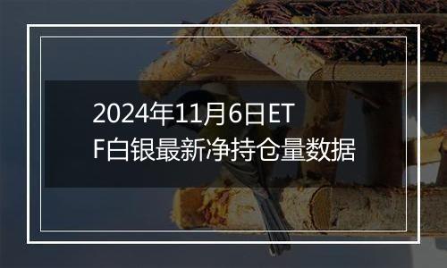 2024年11月6日ETF白银最新净持仓量数据