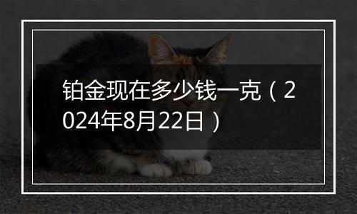 铂金现在多少钱一克（2024年8月22日）