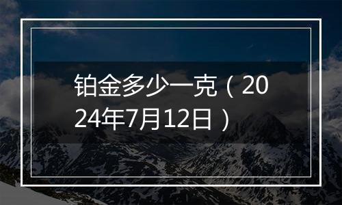 铂金多少一克（2024年7月12日）