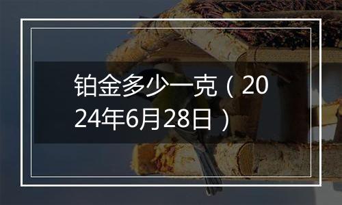 铂金多少一克（2024年6月28日）