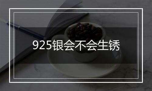 925银会不会生锈